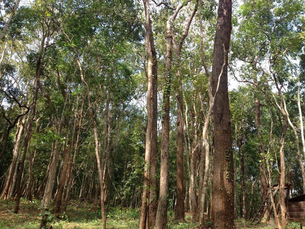 Mondulkiri Hotel Senmonorom Eksteriør bilde